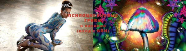 экстази Бородино