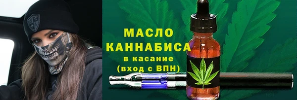 индика Дмитровск