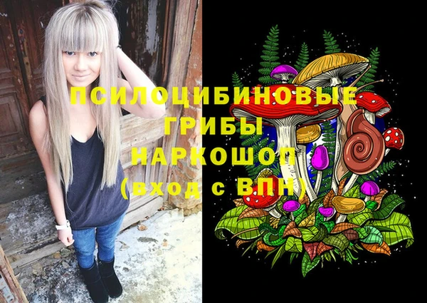 экстази Бородино