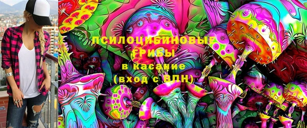 стаф Бугульма