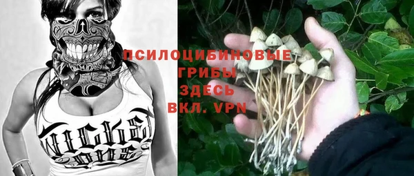 стаф Бугульма