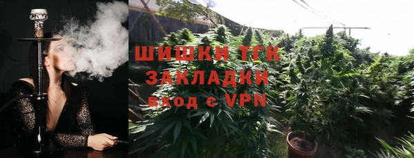 крисы Лабытнанги