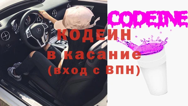 индика Дмитровск