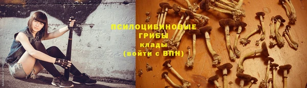экстази Бородино