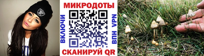 Галлюциногенные грибы Psilocybe  сайты даркнета Telegram  Вилючинск  как найти закладки  ссылка на мегу рабочий сайт 